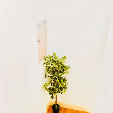 Cantinho Do Picadeiro Apartment Figueira da Foz