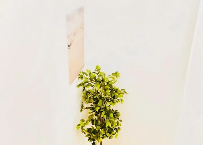 Cantinho Do Picadeiro Apartman Figueira da Foz