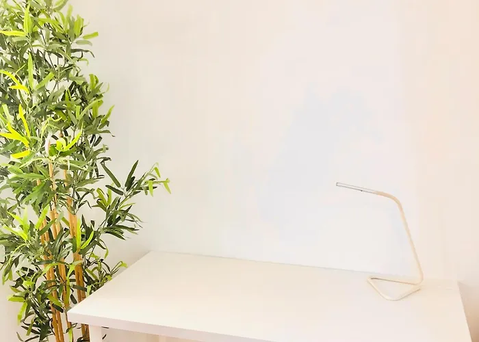 Cantinho Do Picadeiro